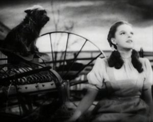 Judy Garland singing Somewhere Over the Rainbow in the classic musical, The Wizard of Oz, as Toto looks on