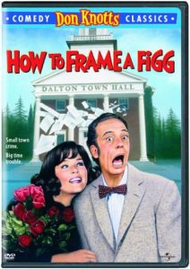 How to Frame a Figg, starring Don Knotts