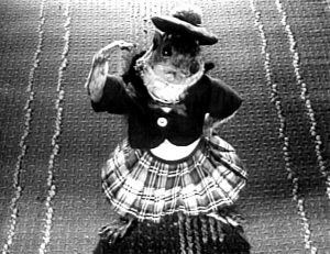 Rupert the dancing squirrel