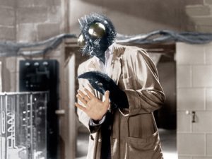 David Hedison as The Fly