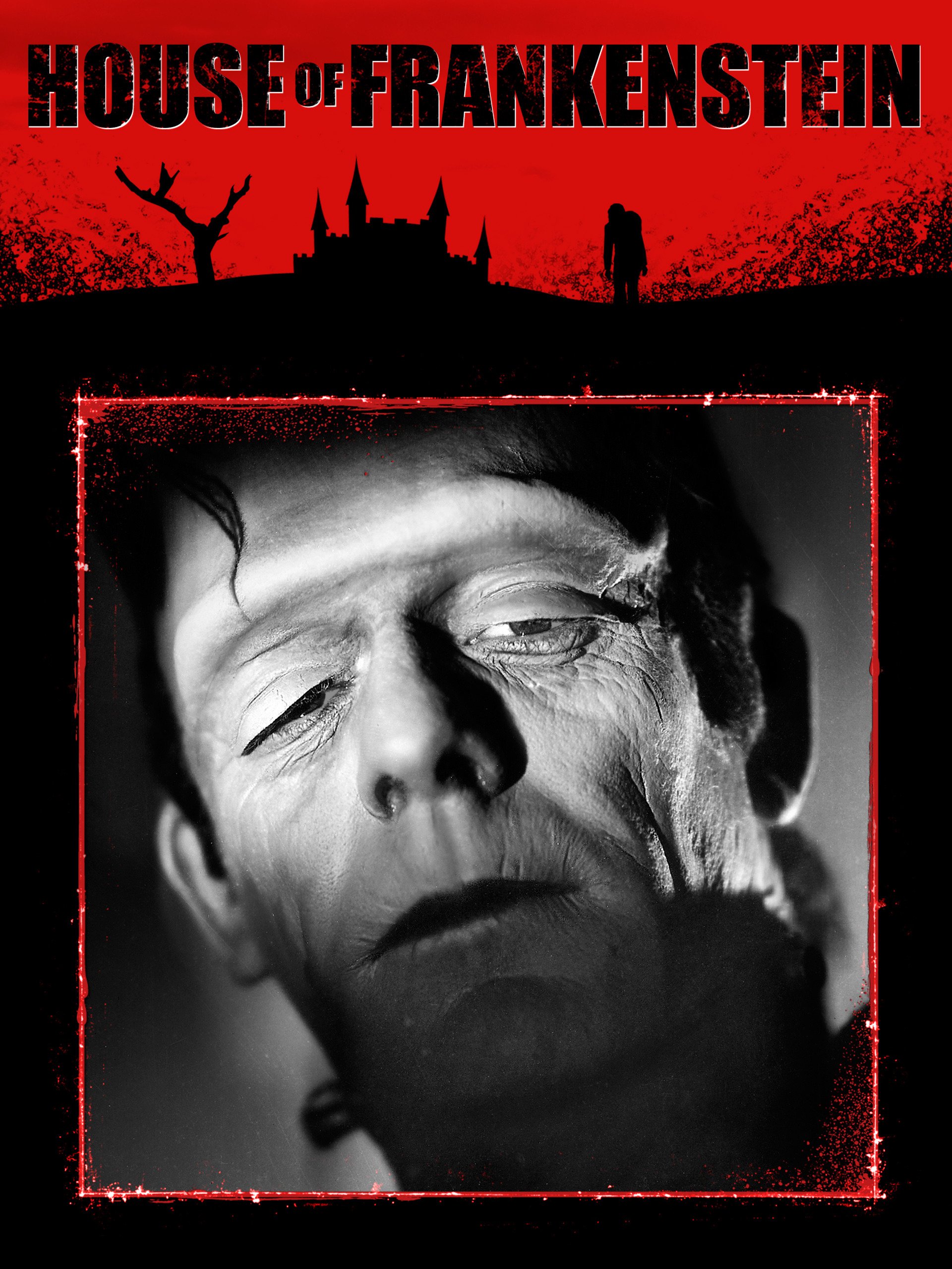 House of Frankenstein (1944), starring Boris Karloff, John Carradine, Lon Chaney Jr., J. Carrol Naish, Glenn Strange, Lionel Atwill, Anne Gwynne, Peter Coe