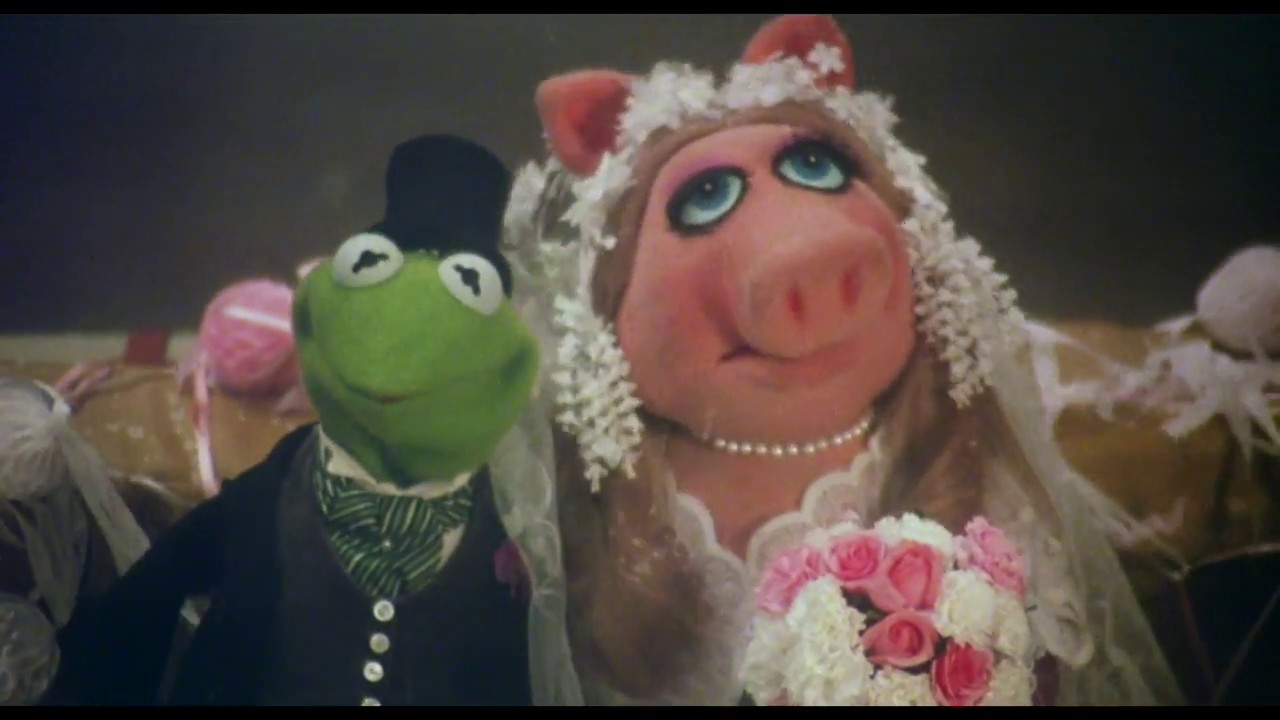 Song lyrics to Never Before, Never Again, Music and Lyrics by Paul Williams and Kenny Ascher, performed in The Muppet Movie by Kermit the Frog and Miss Piggy