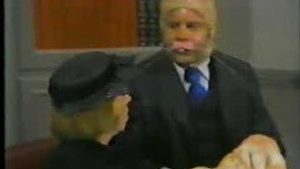 Tim Conway as the attorney F. Lee Bunny