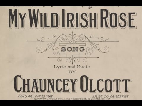 Song lyrics to My Wild Irish Rose (1899) Written by Chauncey Olcott