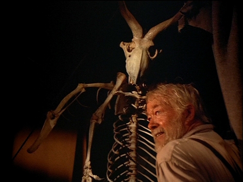 Uncle Willie showing off his authentic gargoyle skeleton in his museum of oddities