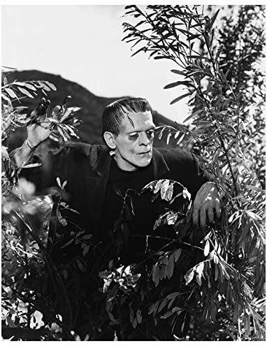 Boris Karloff as Frankenstein's monster peering through the bushes