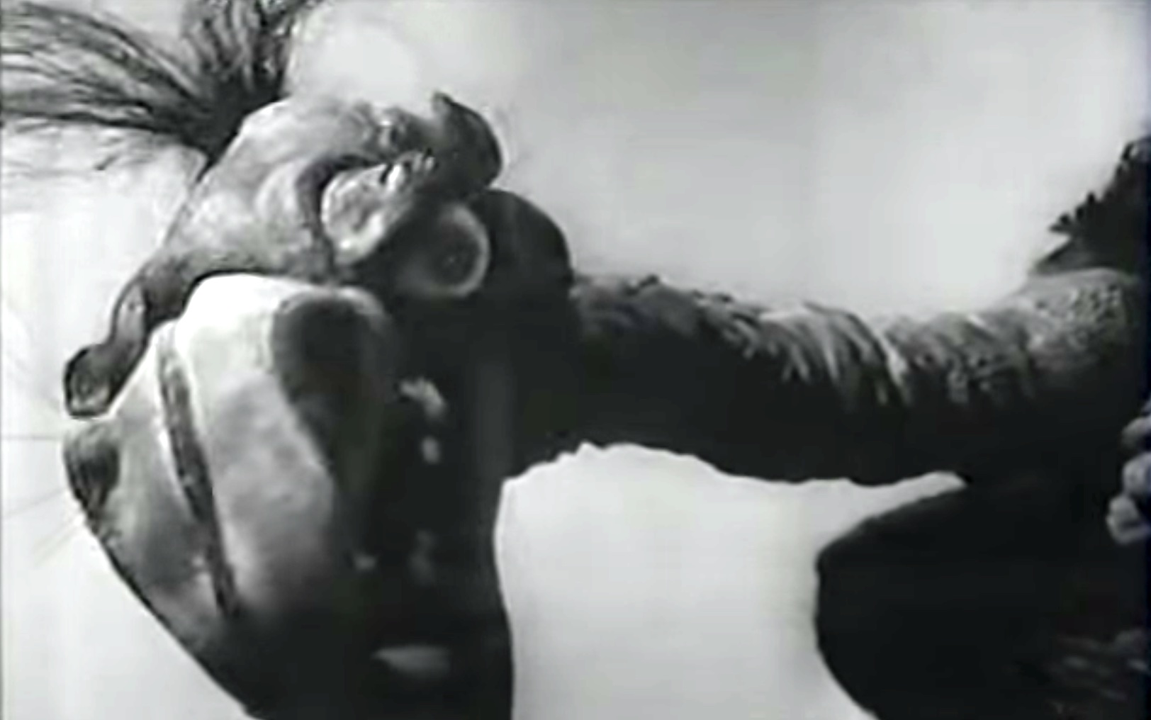 The puppet monster in "The Giant Claw"