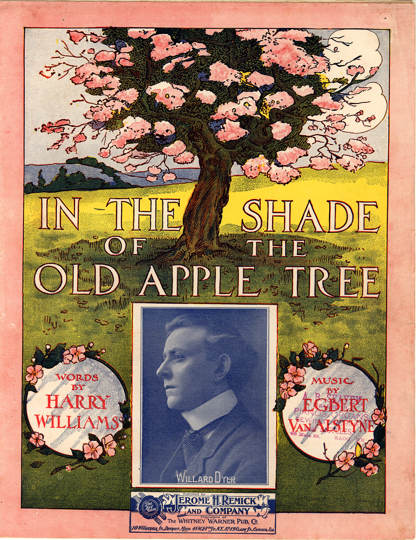 In the Shade of the Old Apple Tree is a popular song dating from 1905. It was written by Harry Williams, music by Egbert Van Alstyne.