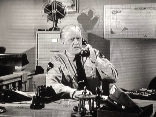 Gene Roth as Sheriff Cagle in "Earth vs the Spider"