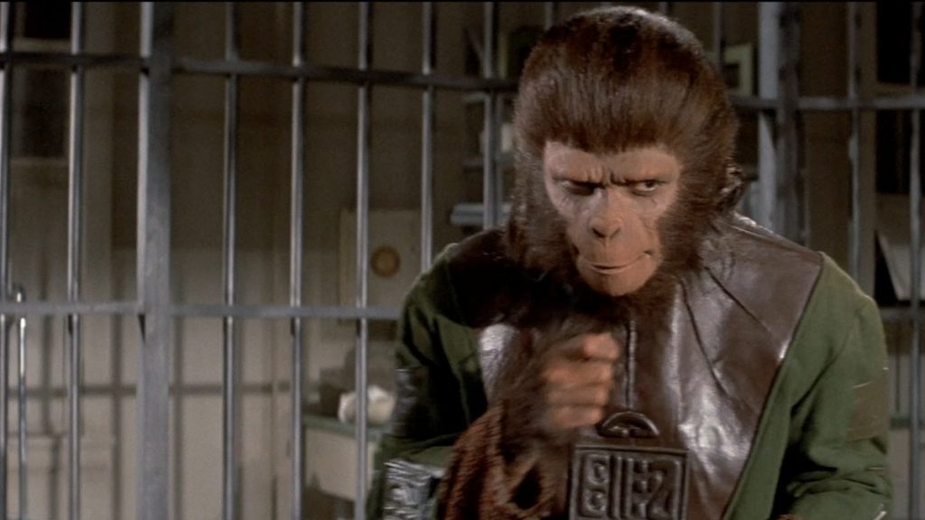 Roddy McDowell as Cornelius, in a cage before modern day humans realize that he's intelligent