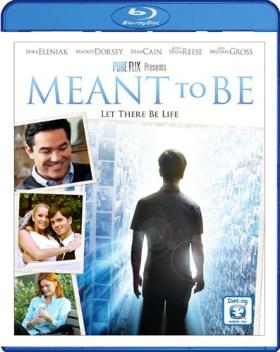 Meant to Be - a story of several intersecting lives: a young man looking for his birth mother, a young girl with promise unexpectedly pregnant, a mom trying to deal with loss …