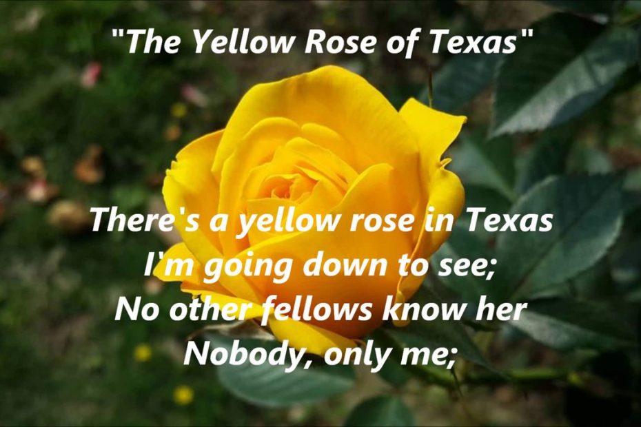Song lyrics to "The Yellow Rose of Texas" (1853)