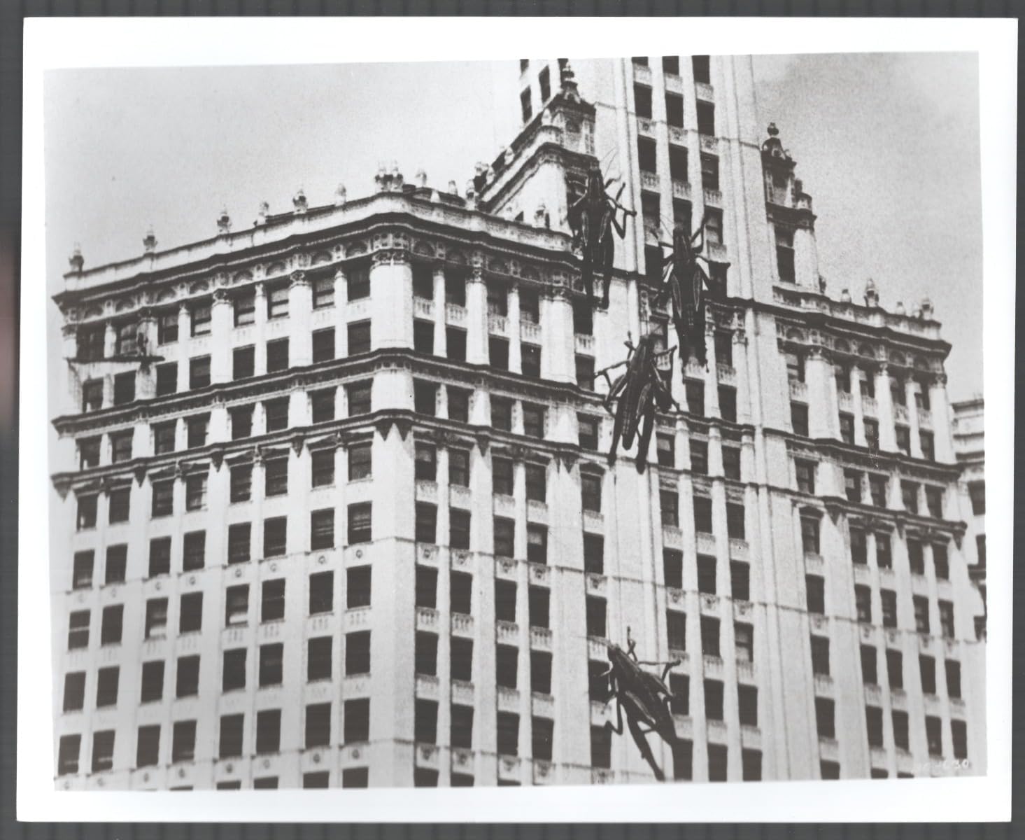 Giant grasshoppers attacking Chicago